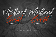 Maitland Script, a Script Font by AMINMARIO (Thumbnail 13 of 15)