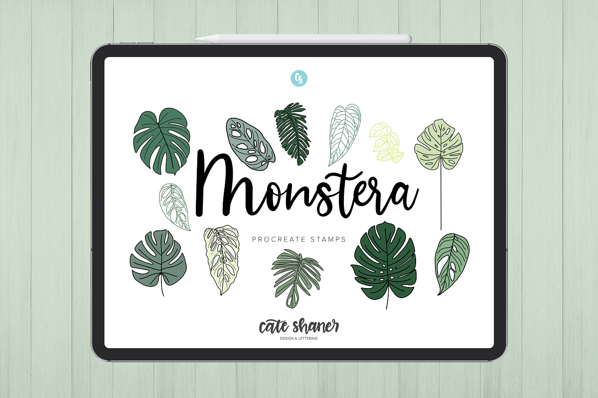 Monstera Procreate Stamp Brushes, a Brush Add-On by Cate Shaner (Photo 1 of 4)