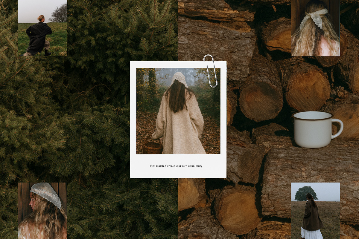 90+ Autumn Stock Photos, a Nature Photo by Trissa (Photo 9 of 12)