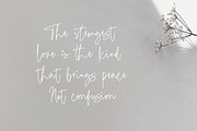 Ursie Bellove - Monoline Signature, a Handwritten Font by tebaltipislab (Thumbnail 4 of 10)