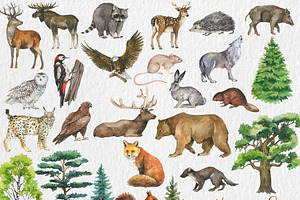 Watercolor Forest Animal Clipart PNG