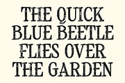CS Brinley Stamp, a Serif Font by Craft Supply Co. (Thumbnail 5 of 8)