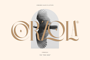 Chrome Slab | Semi-Condensed Serif, a Serif Font by Ardana Creative (Thumbnail 6 of 9)
