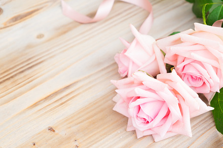 Pink blooming roses on wood stock photo containing rose and pink, a Nature Photo by Neirfy