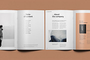 Proposal, a Brochure Template by ThemeDevisers (Thumbnail 2 of 7)