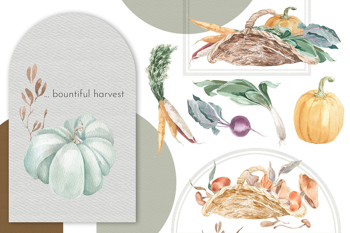Autumn Harvest Watercolor Collection, a Food Illustration by Cat In Colour (Photo 6 of 8)