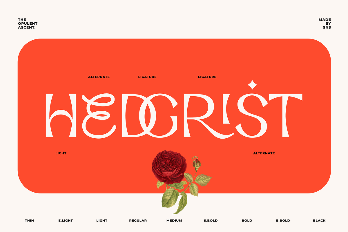 Opulent Ascend - 9 Font Family, a Sans Serif Font by Sans & Sons (Photo 2 of 10)