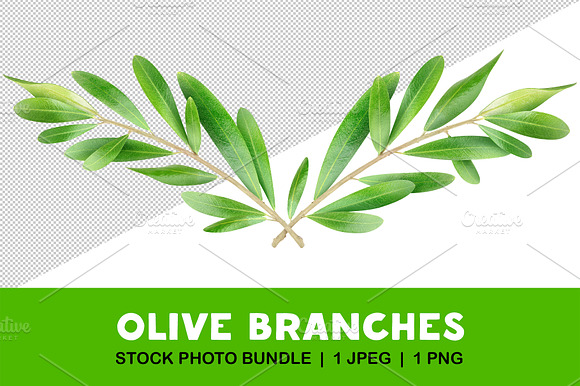 Two Crossed Olive Branches