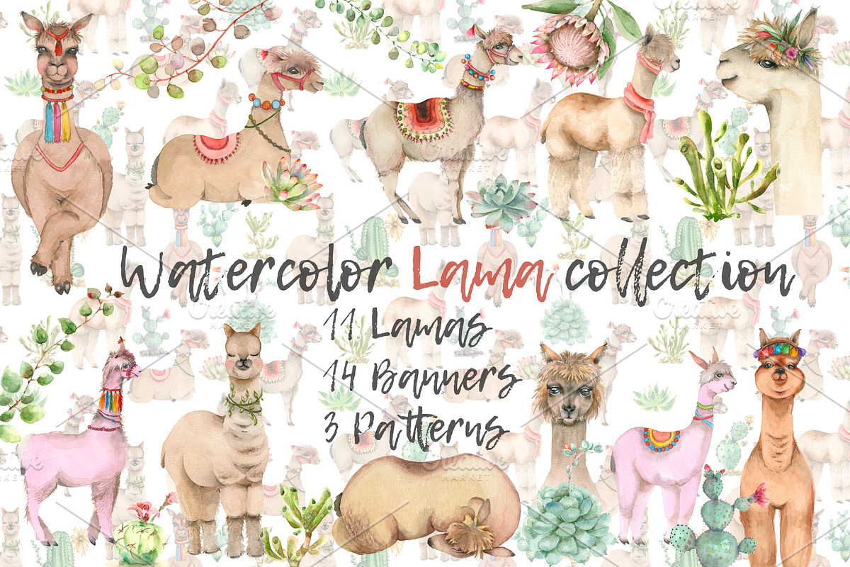 Lama in cactus collection, an Animal Illustration by IvanFet (Photo 1 of 5)