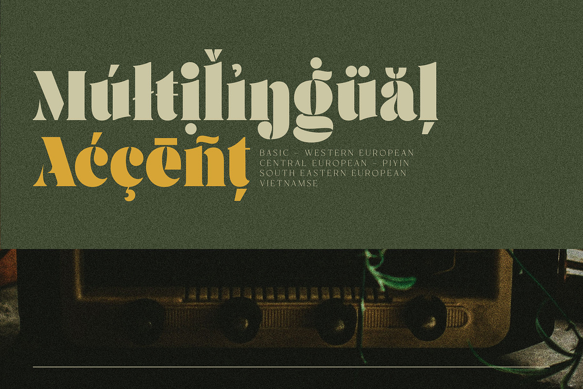 Brolike Typeface, a Serif Font by alit design (Photo 17 of 18)