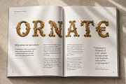 Golden Rococo Font, a Serif Font by Handmadefont (Thumbnail 7 of 15)