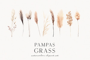 Pampas Grass