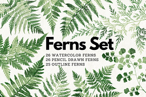 Ferns Bundle