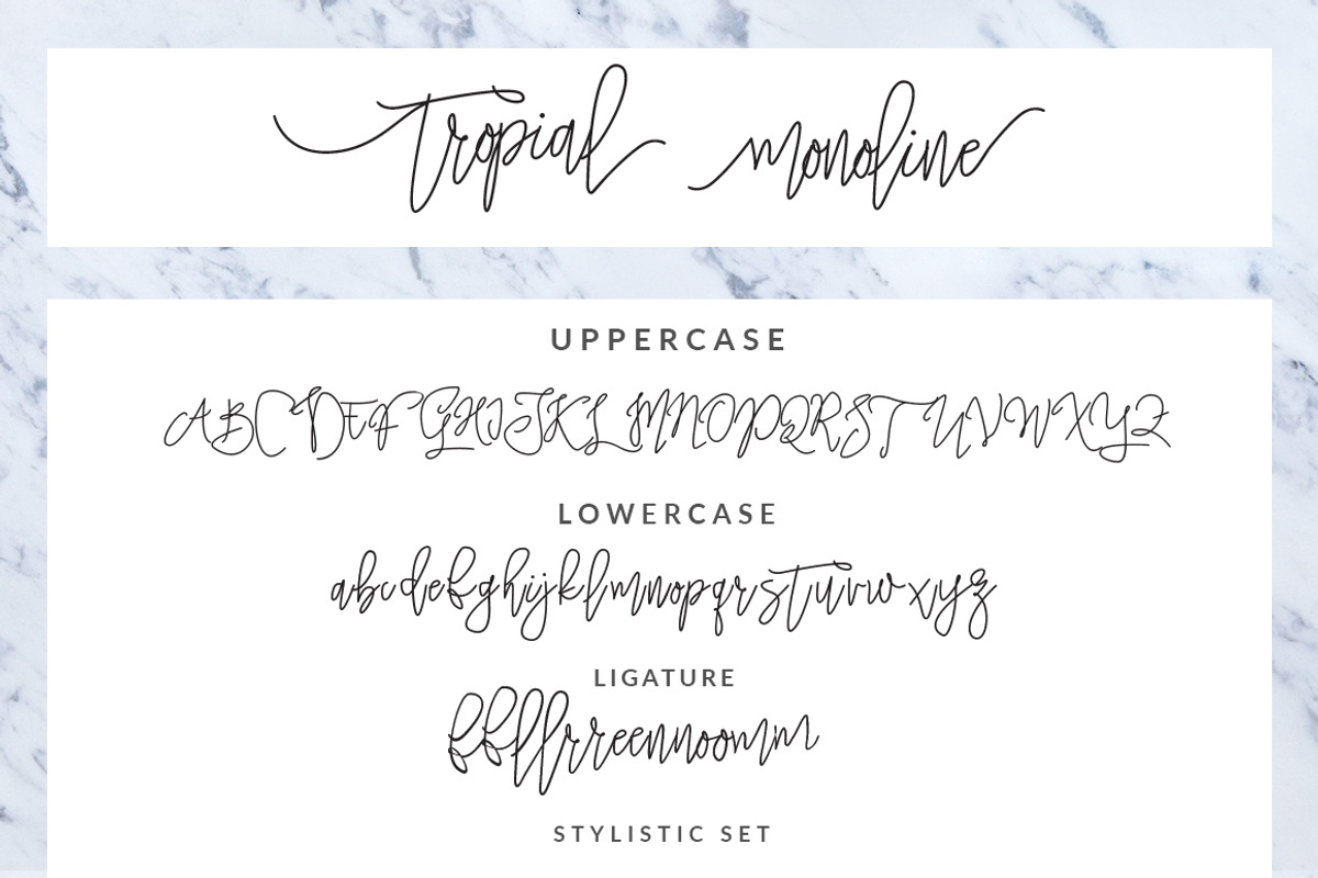 SALE !!! The Tropical - 5 Fonts, a Font by Dirtyline Studio (Photo 19 of 19)