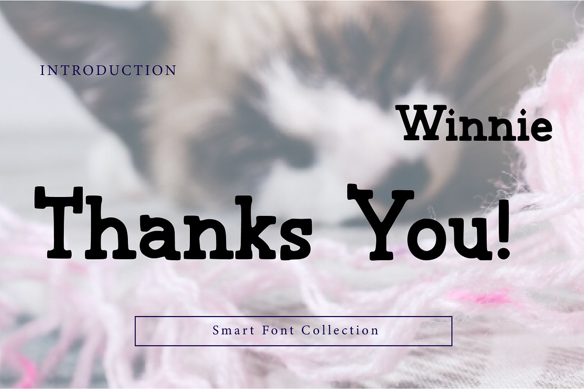 Winnie, a Serif Font by Wow Magic