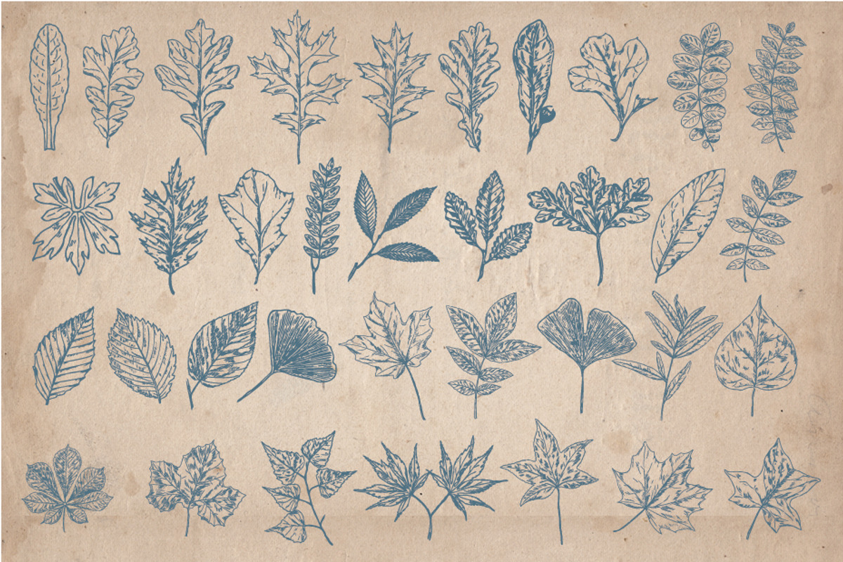 205 Floral Objects, an Object Graphic by Mr Vintage (Photo 4 of 5)