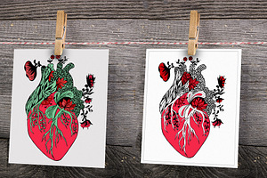 Floral Anatomical Heart ClipArt