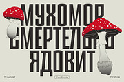 TT Carvist, a Sans Serif Font by TypeType (Thumbnail 8 of 15)