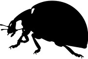 Ladybug Silhouette, an Object Graphic by Designer_Momina (Thumbnail 10 of 20)