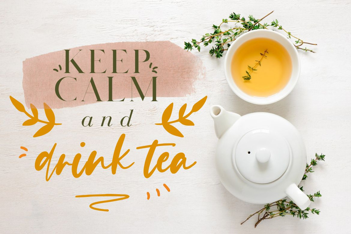 Evangeline Modern Business Font preview 6