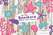 Seashells Clipart in Crayon Box, an Illustration by Amanda Ilkov (Thumbnail 2 of 5)