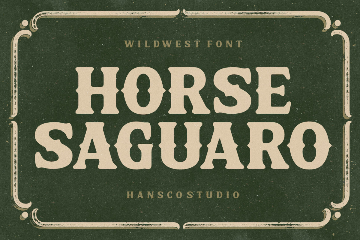 Horse Saguaro - Cowgirl Font, a Serif Font by HansCo Studio (Photo 1 of 7)