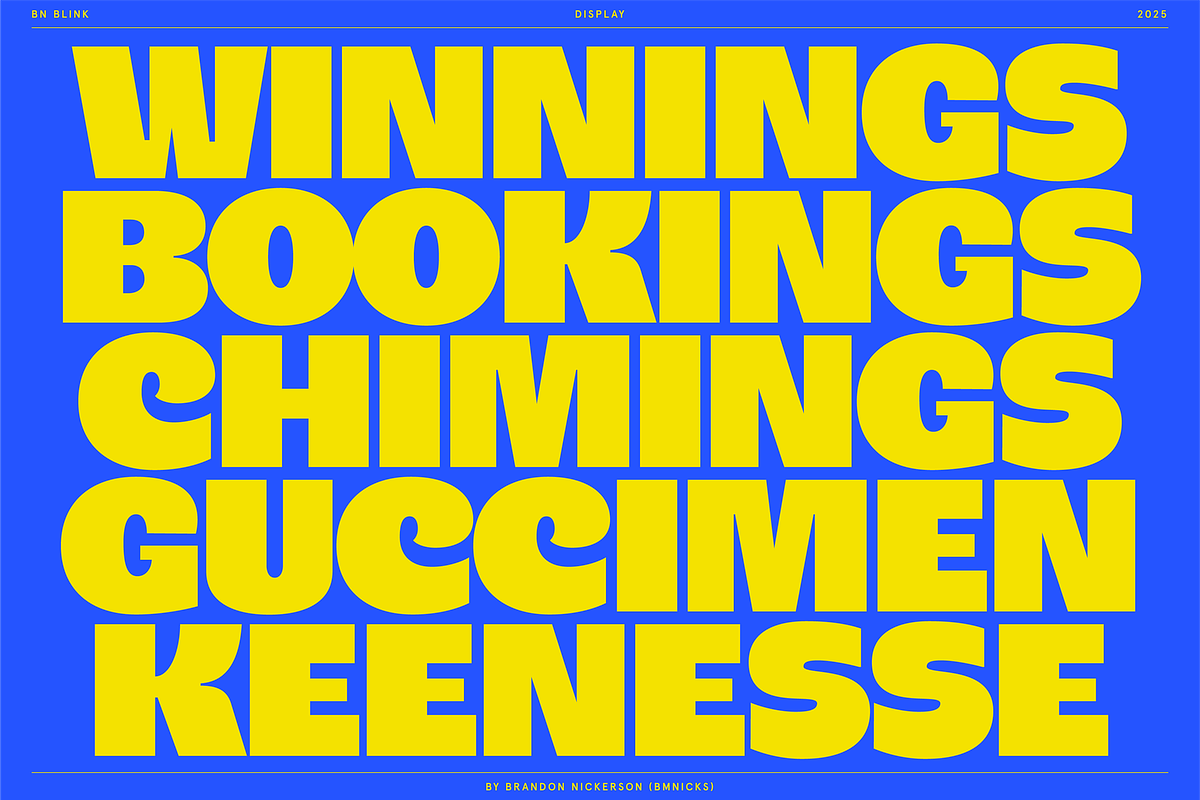 BN Blink, a Sans Serif Font by Bnick (Photo 7 of 16)