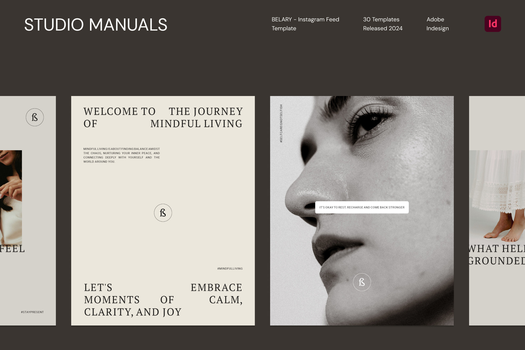 Belary  Instagram Feed by Studio Manuals  Creative Market
