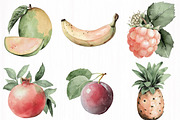 Watercolor Fruit Set Exotic, a Food Illustration by DreamCafeArt (Thumbnail 2 of 5)
