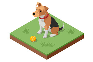 Isometric illustration of a sitting, an Animal Illustration by Golden Sikorka
