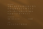 Ramick Elegant Ligature Serif Font, a Serif Font by Graphicxell (Thumbnail 7 of 8)