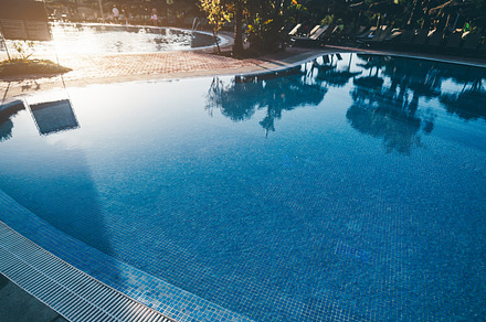 Calm resort pool with palm trees, a Sports & Recreation Photo by SkyNext