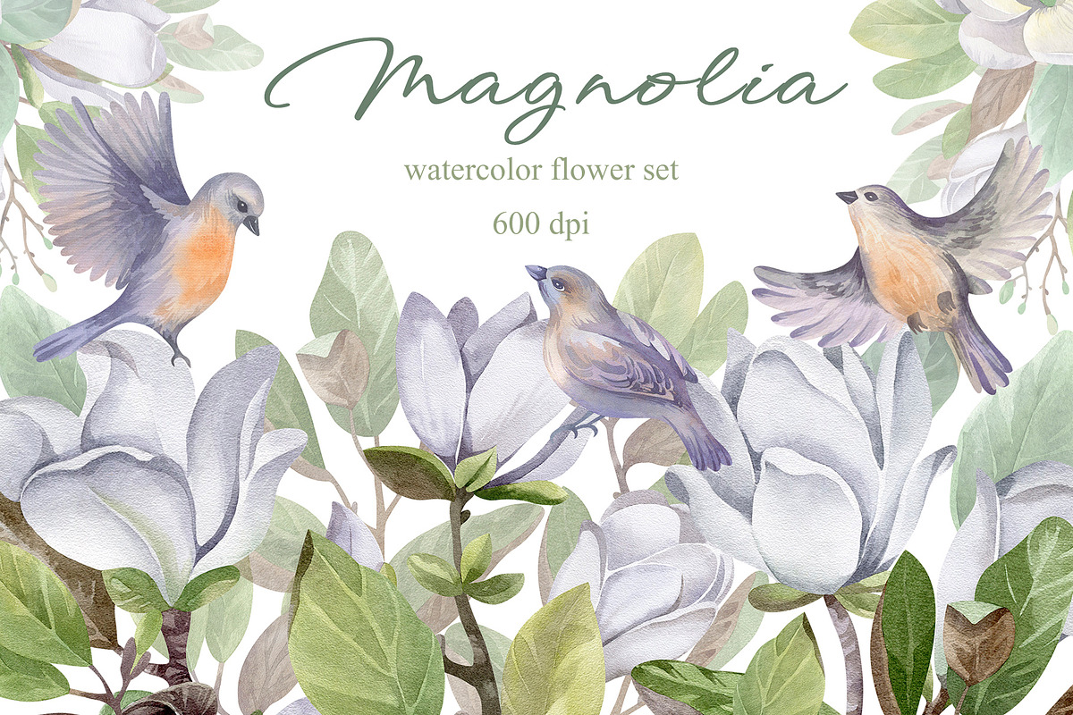 Watercolor Magnolia Flower Set, a Decorative Illustration by LenArt (Photo 1 of 18)