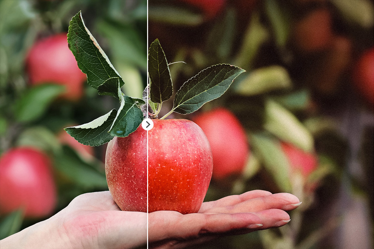 Blogger Bundle 135 Lightroom Presets, an Action Add-On by PhotoMarket (Photo 45 of 94)