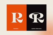 Rayken - Stylish Serif Font, a Serif Font by Craft Supply Co. (Thumbnail 7 of 12)