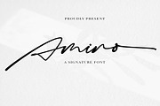 Amino - signature script, a Script Font by Fontcastle (Thumbnail 1 of 5)