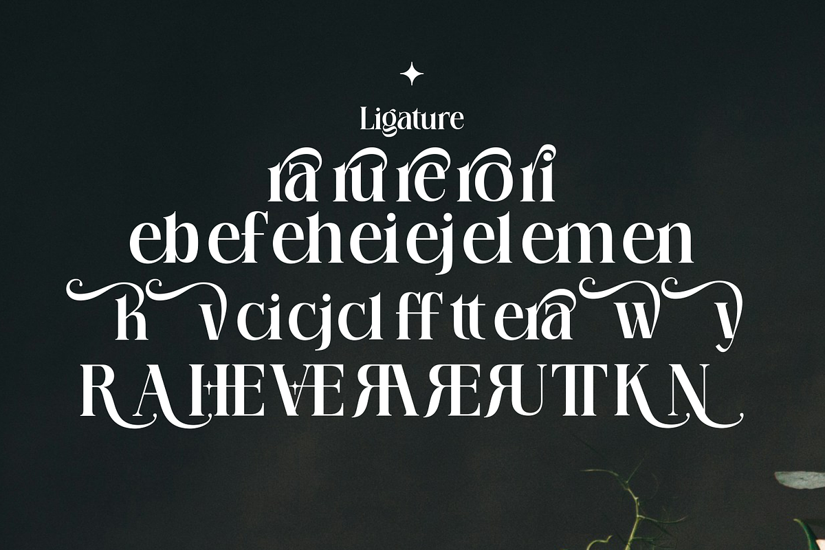 Rosevera – Luxury Blending Classic, a Serif Font by Haps Space (Photo 5 of 7)