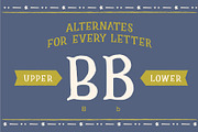 Beechwood Hand, a Serif Font by Lauren Barr Studio (Thumbnail 4 of 6)