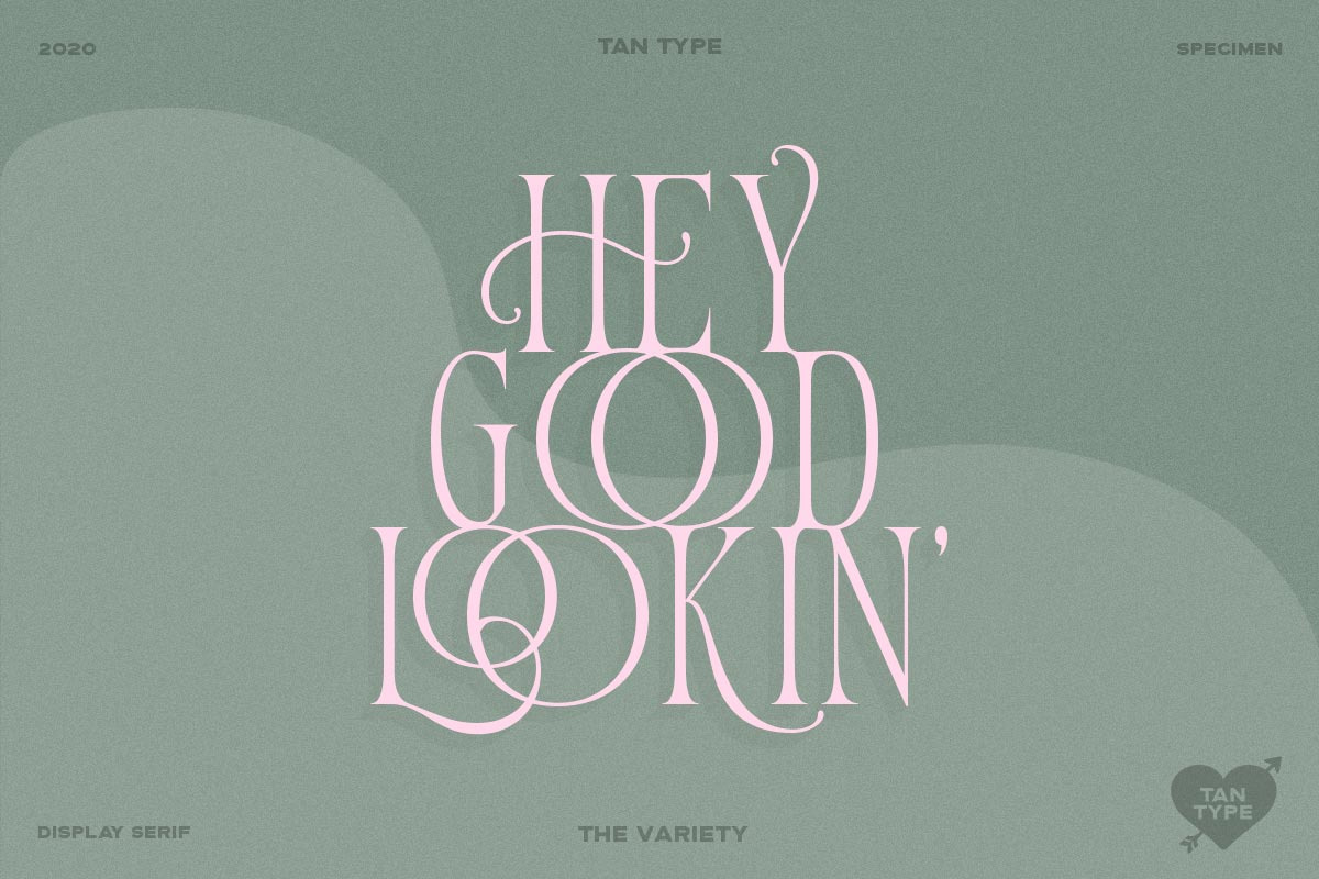 TAN - Variety, a Serif Font by TanType (Photo 14 of 26)