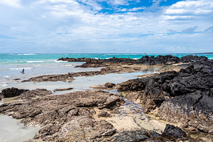 Coastal view with pelicans and rocky beach on Isabela Island, Ga, an Animal Photo by GoodGoods