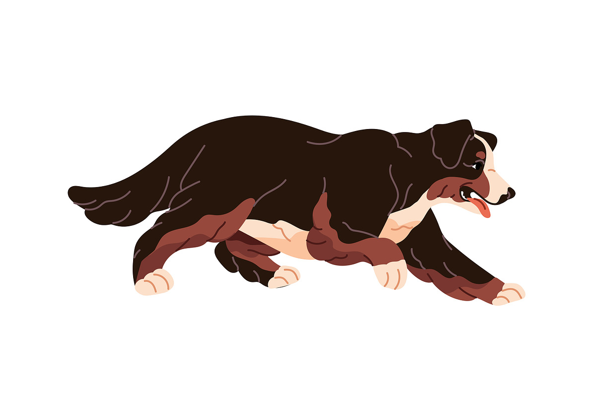 Happy dogs of different breeds set, an Animal Illustration by PaperTrident (Photo 11 of 11)