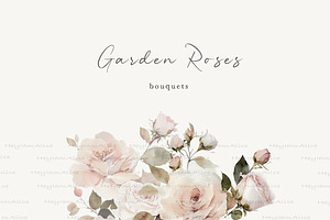 Garden Roses