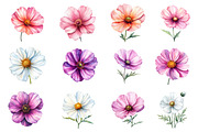 Watercolor Cosmos Flower Clipart, an Illustration by Dream Creation (Thumbnail 4 of 7)