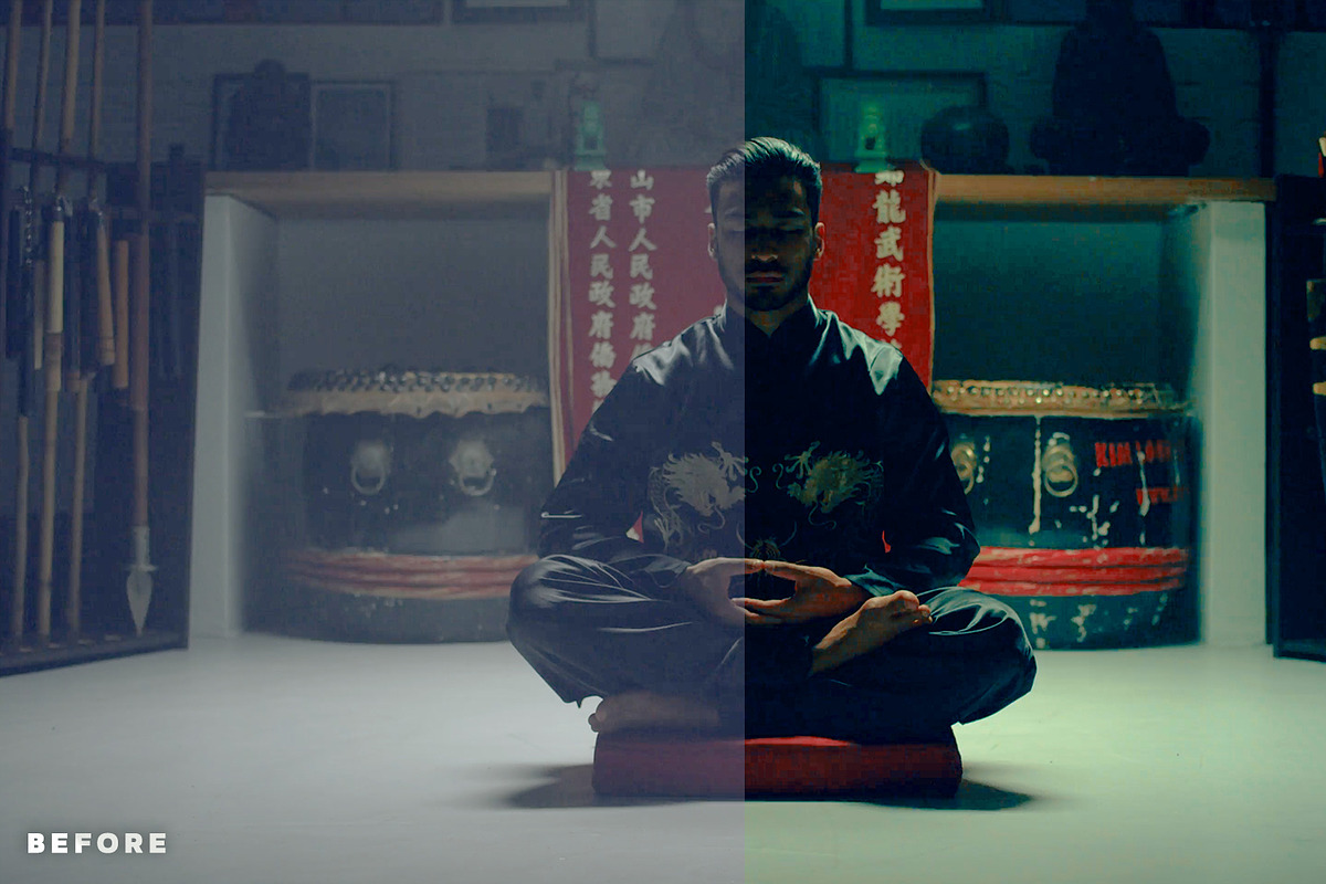 Hollywood LUTs for Color Grading, an Action Add-On by Presetsh.com (Photo 11 of 14)