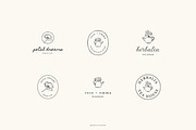 Botanical logos Vol. 4, a Branding & Logo Template by Crocus Paperi (Thumbnail 5 of 16)