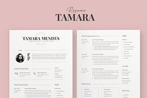 Professional Resume Template / Cv