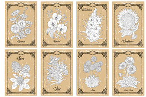 Big Set Of Vector Hand Drawn Flowers