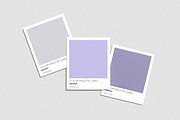 Color Palette Cards Mockup, an Advertising Mockup by xavier_studio (Thumbnail 2 of 5)