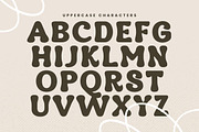Hadlen - Playful Retro Serif, a Serif Font by Variatype (Thumbnail 6 of 19)