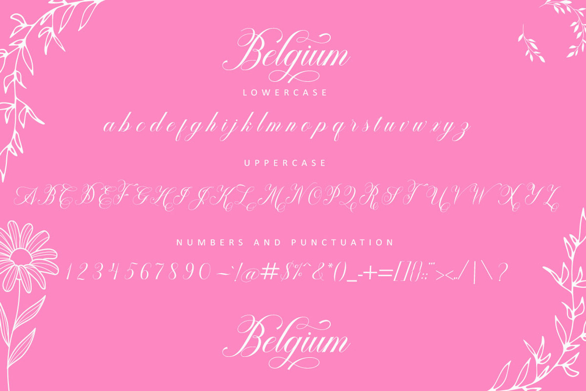 Belgium Script, a Script Font by Strong.co (Photo 4 of 7)